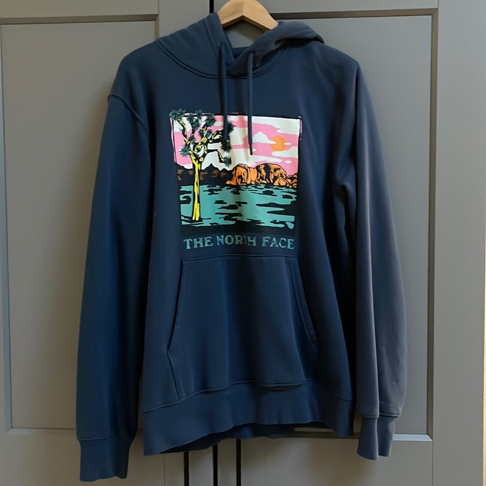 Medium blue north face hoodie. Brand new.